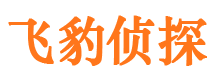 任城市婚外情调查